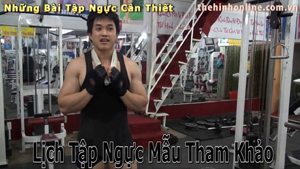 Một buổi tập ngực mẫu