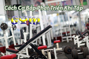 Cách cơ bắp phát triển khi tập thể hình GYM