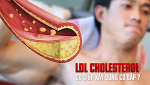 [TTGM] Liệu LDL Cholesterol có giúp xây dựng cơ bắp?