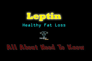 Leptin là gì? Ảnh hưởng đến giảm mỡ giảm cân, cách kiểm soát Leptin 