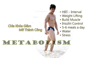 Metabolism Hệ số trao đổi chất giảm cân tự nhiên đốt chất béo an toàn