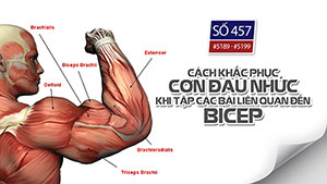 Tại sao giảm carb chứ không giảm fat để giảm cân ?