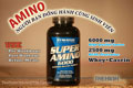 Super Amino 6000, Khởi nghiệp tình yêu thể hình Sinh viên yêu GYM