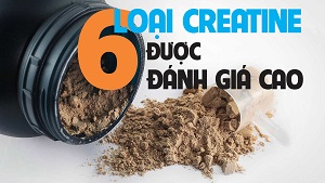 6 loại CREATINE đã được các chuyên gia đánh giá cao - THOL