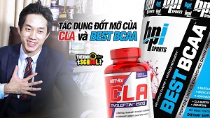 Tìm hiểu về CLA - Nâng cao hiệu quả giảm cân, đốt mỡ - THOL