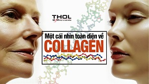 Thực hư về khả năng làm đẹp da, tăng cơ của Collagen - THOL