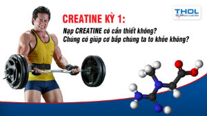 THOL School - Creatine có giúp chúng ta to và khỏe hơn không