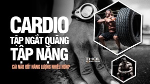 Cardio, HIIT, GYM - Tập cái nào giảm mỡ nhanh nhất ? - THOL