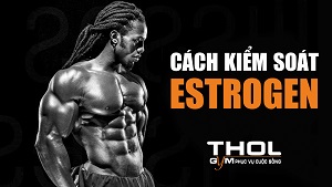 Estrogen tác động như thế nào đến sức khỏe Phái Mạnh? - THOL