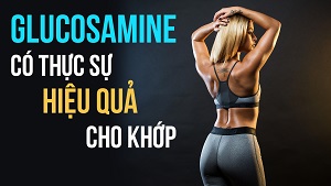 Glucosamine - Tác dụng trong vấn đề bảo vệ xương khớp - THOL