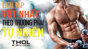 Lịch tập luyện tốt nhất dành cho những Natural Gymer - THOL