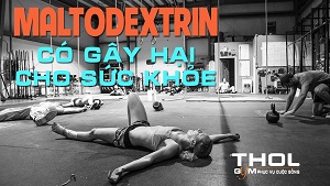 Maltodextrin - Carb hấp thu nhanh, bổ sung năng lượng - THOL