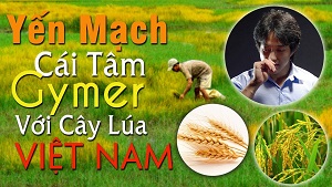 Yến mạch - Suy ngẫm cái tâm của Gymer đối với cây lúa - THOL