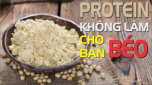 Chế độ ăn uống nhiều Protein có gây mập không ? - THOL