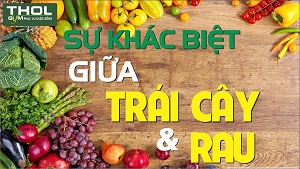 Tuyệt chiêu đơn giản phân biệt giữa TRÁI CÂY và RAU CỦ -THOL