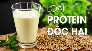 Soy Protein - Gymer có cần bổ sung nhiều protein đậu ? -THOL