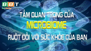 Vi khuẩn đường ruột và những tác động đối với cơ thể - THOL