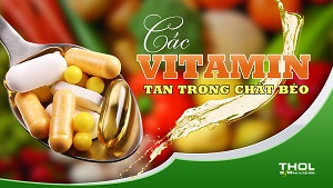 Vitamin A, D, E, K - Chúng sẽ bị hòa tan trong dầu mỡ - THOL