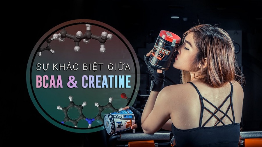 Sự khác biệt giữa BCAA và CREATINE, loại nào giúp bạn tăng cơ ? - THOL