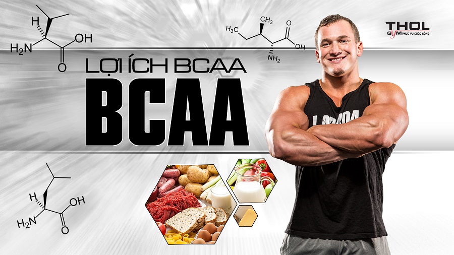 BCAA là gì ? Tác dụng của BCAA trong việc tập Gym và thể hình - THOL