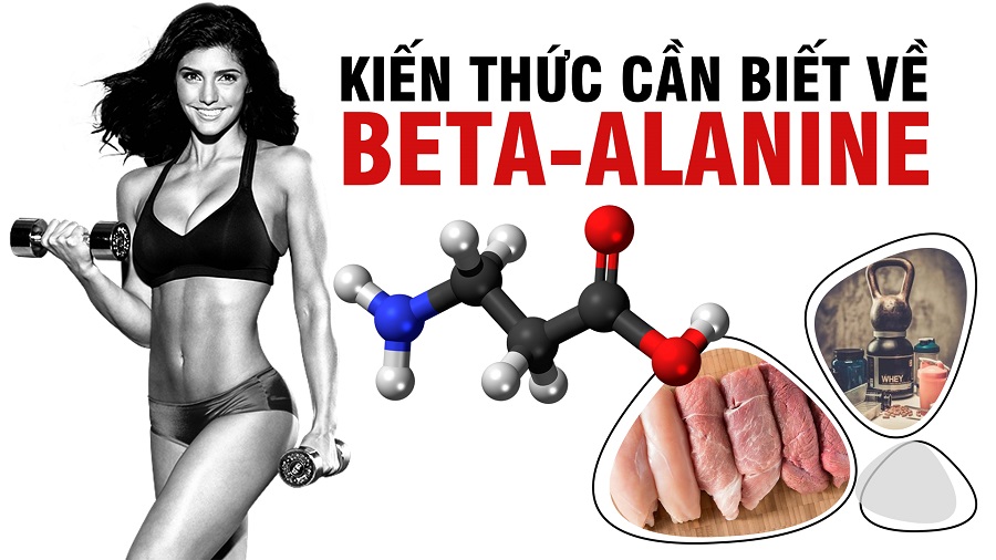 Cùng Beta-Alanine đi tìm giới hạn sự chịu đựng và mệt mỏi cơ bắp -THOL