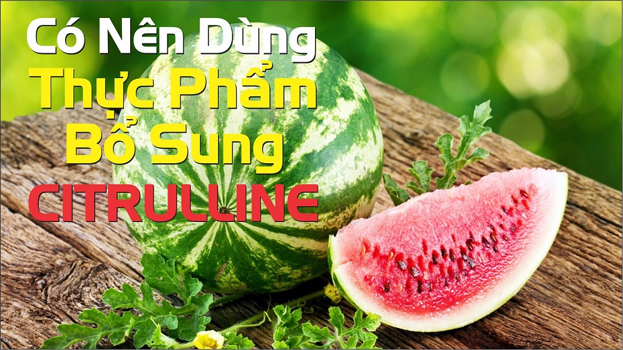 CITRULLINE - Dinh dưỡng cần thiết để bắt đầu buổi tập hoàn hảo - THOL