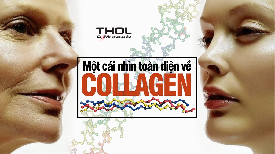 Thực hư câu chuyện Collagen không những làm đẹp da mà còn giúp tăng cơ