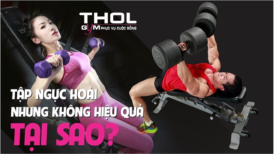 Incline Dumbell Press - Những lỗi sai nguy hiểm khi tập ngực - THOL