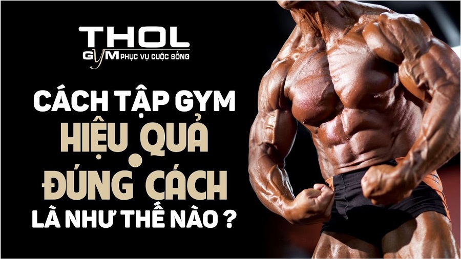 Bí quyết tập Gym thành công, hiệu quả, cơ thể đẹp hơn, khỏe hơn - THOL