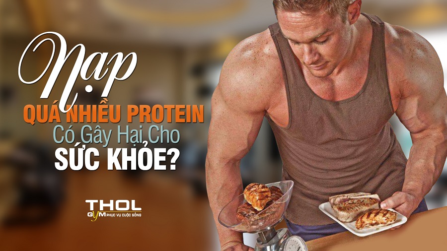 Nạp quá nhiều Protein có gây hại cho sức khỏe Gymer không ? - THOL