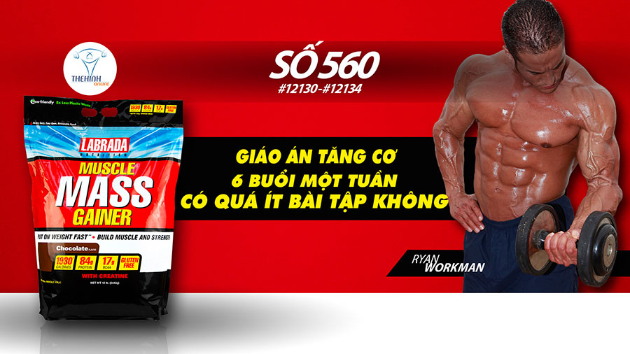 Hỏi đáp thể hình 560 - Chạy bộ sau khi tập tạ có bị nhão cơ? - THOL