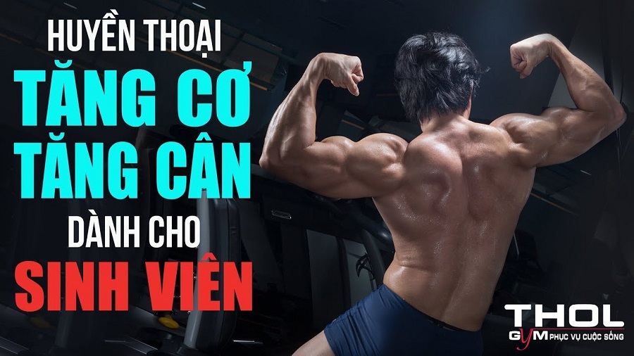 Tăng cân Tăng cơ cho sinh viên THOL - Thoát gầy làm giàu