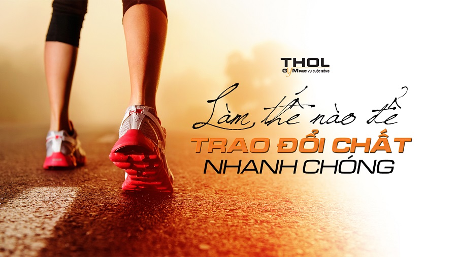 Thúc đẩy quá trình trao đổi chất - Chìa khóa Leanbody thành công -THOL