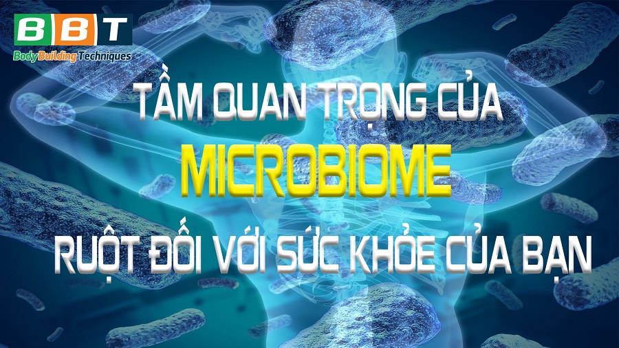 Microbiome - Vi khuẩn đường ruột, những tác động đối với cơ thể - THOL