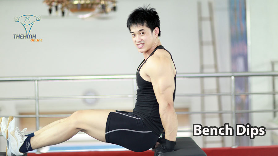 Bench Dips bài tập thể hình chống đẩy tập cơ tam đầu tay sau tại nhà