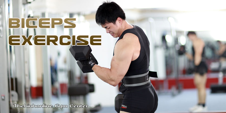 Những bài tập thể hình GYM fitness cơ nhị đầu tay trước cần thiết hiệu quả