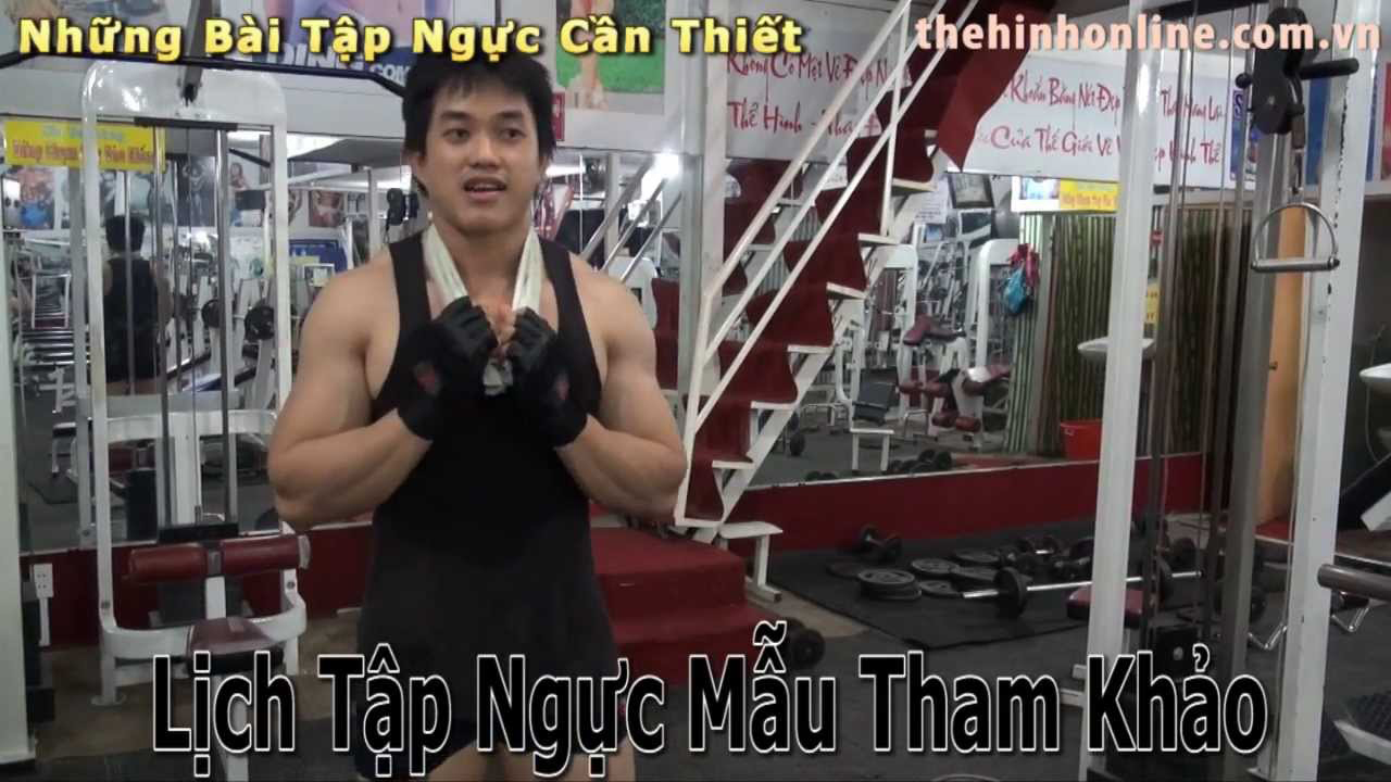 Thể hình GYM Fitness Một buổi tập ngực mẫu