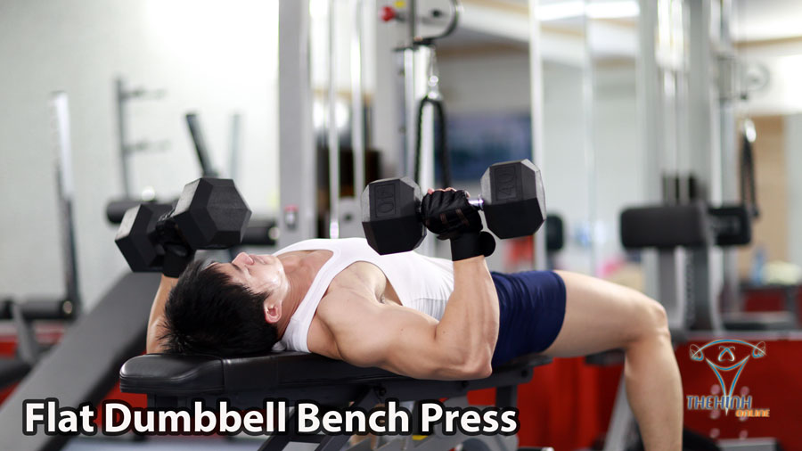 Dumbbell Bench Press Đẩy Ngực Tạ Đôi Đúng Kỹ Thuật Thể Hình Fitness