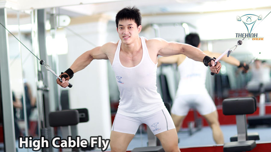 High Cable Fly Tập Thể Hình GYM Ép Cơ Ngực Trong săn chắc giảm mỡ