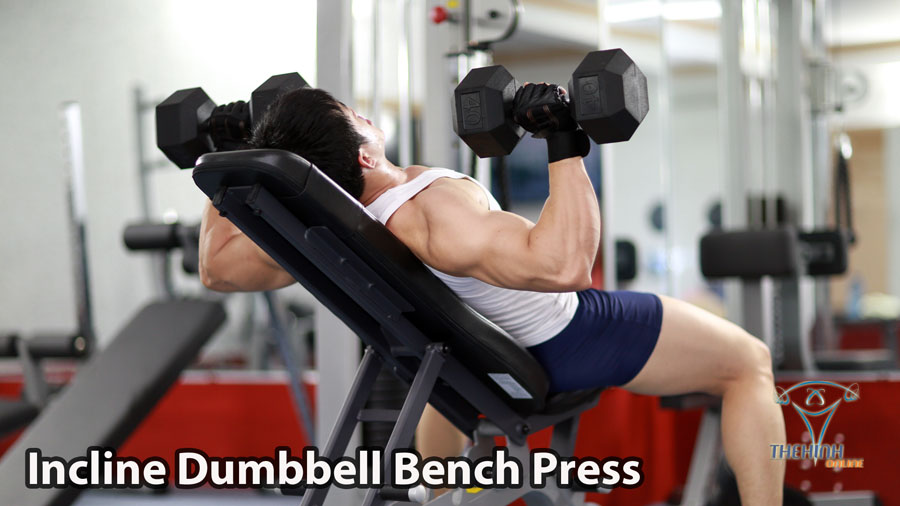 Incline Dumbbell Bench Press tập thể hình đẩy ngực trên đúng kỹ thuật