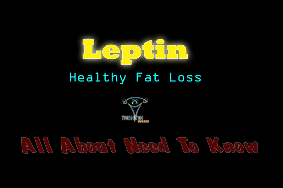 Leptin là gì? Ảnh hưởng đến giảm mỡ giảm cân, cách kiểm soát Leptin