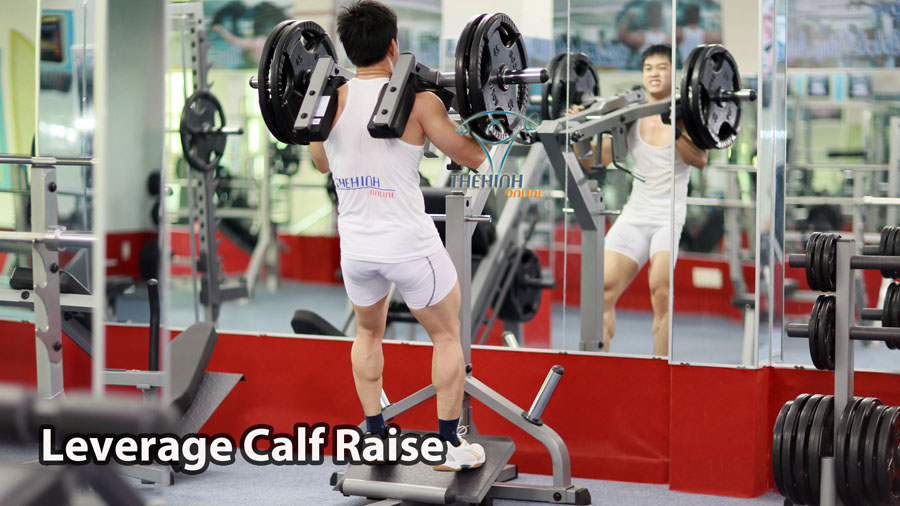 Leverage Calf Raise bài tập thể hình Nhón Bắp Chân Mạnh Mẽ to khỏe