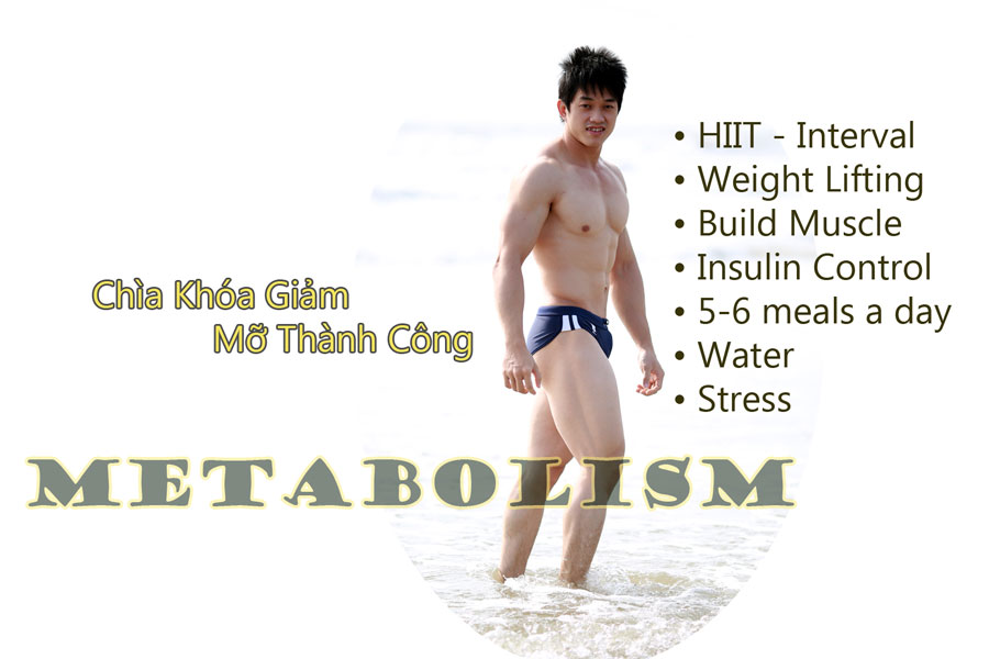 Metabolism Hệ số trao đổi chất giảm cân tự nhiên đốt chất béo an toàn