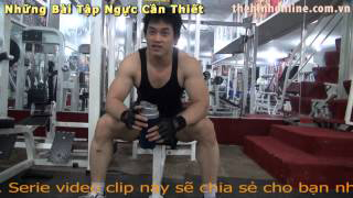 Tổng quan cơ ngực