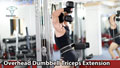 Overhead Dumbbell Triceps Extension Tập Tay Sau