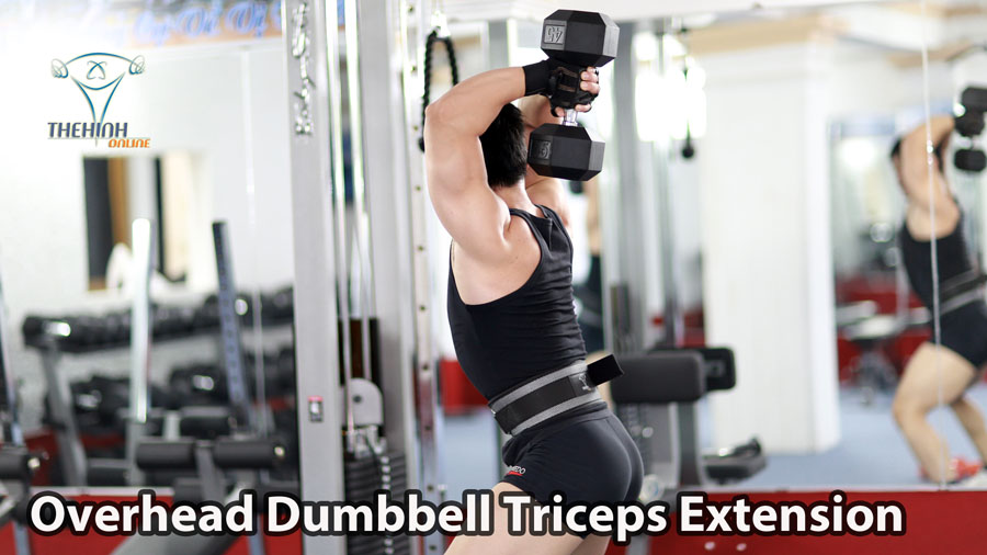 Overhead Dumbbell Triceps Extension Cơ Tam Đầu Bắp Tay Sau