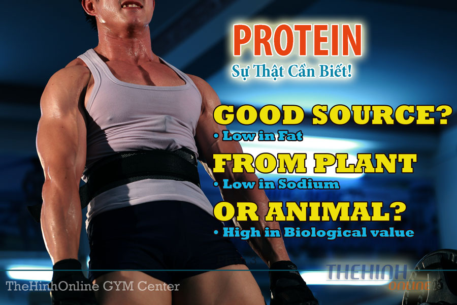 Hiểu và sử dụng đúng protein - Axit amin - Amino khi tập thể hình GYM