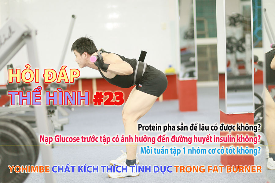 Yohimbe có tác dụng chính là gì, có phải chất cấm trong Gym