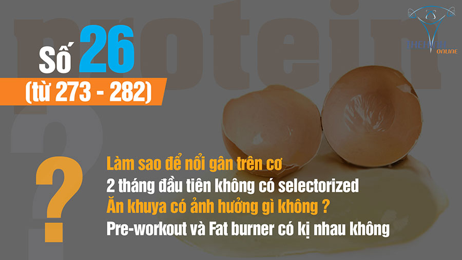 Hỏi đáp thể hình 26 - Làm sao để nổi gân? Ăn khuya có ảnh hưởng không