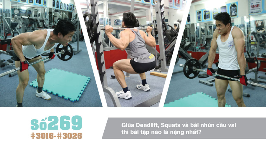 Mục tiêu đơn giản của gymer: ngực nở, lưng rộng, bụng 6 múi?